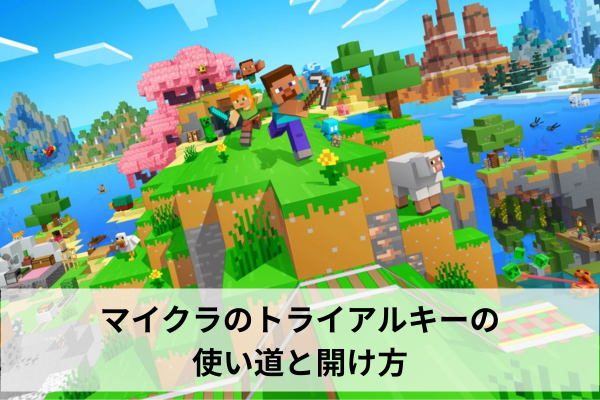 マイクラのトライアルキーの使い道と開け方